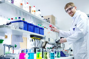 食品企业大肠杆菌超标事件的数据处理与应对策略